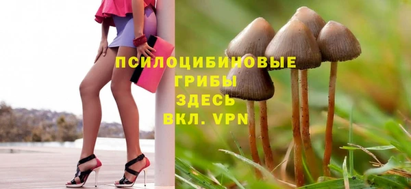 бошки Михайлов