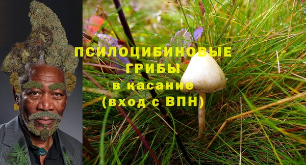 apvp Семилуки