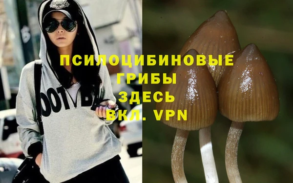 MESCALINE Михайловск