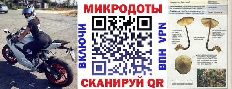 Галлюциногенные грибы ЛСД  где купить наркотик  Рассказово 
