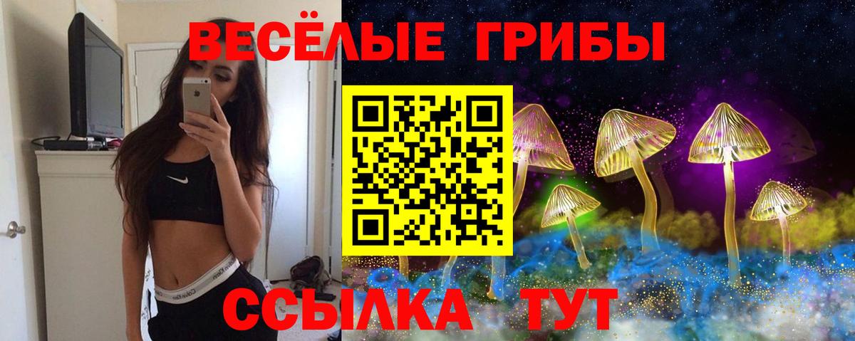 Псилоцибиновые грибы мухоморы Рассказово