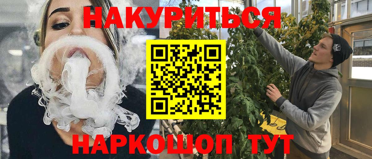 Каннабис OG Kush Рассказово